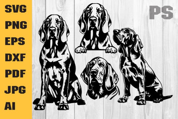 Download Dog Svg, Bloodhound - Premium Bundle