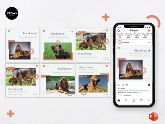 Download Instagram Feed Template -  Bloodhound - Bloodhound Collection