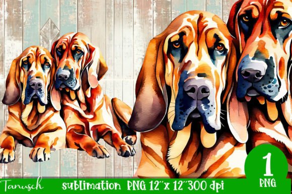 Download Watercolor Bloodhound Sublimation - Premium Bundle