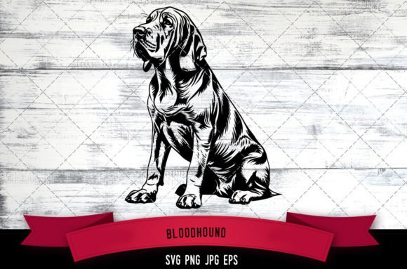 Download Bloodhound SVG, Dog SVG, Logo - Premium Bundle